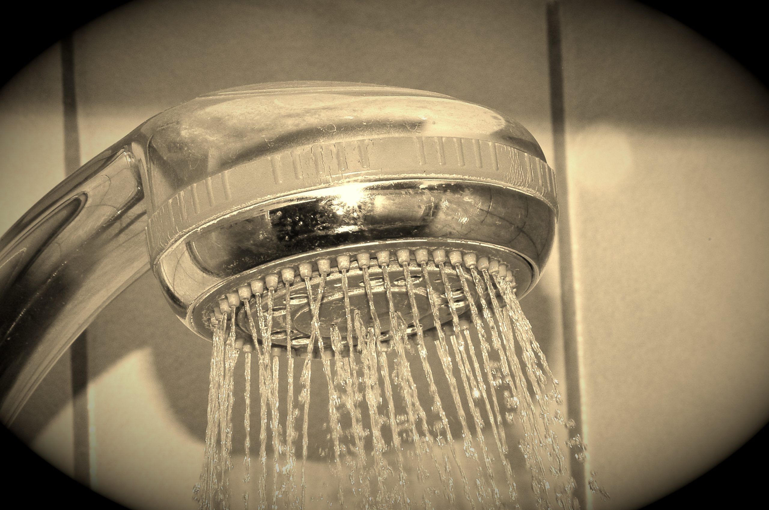 Shower_head - Wikimedia - by Nicole-Koehler - resized sepia